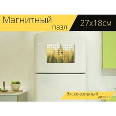 Магнитный пазл "Божья коровка, насекомое, пшеница" на холодильник 27 x 18 см. Lots Prints