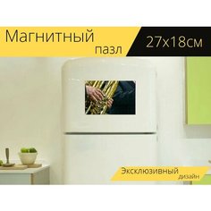 Магнитный пазл "Руки, музыкальный инструмент, туба" на холодильник 27 x 18 см. Lots Prints