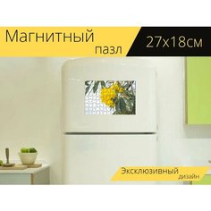 Магнитный пазл "Цветок, желтый, природа" на холодильник 27 x 18 см. Lots Prints