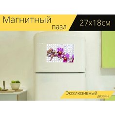 Магнитный пазл "Фаленопсис, орхидея, белый розовый" на холодильник 27 x 18 см. Lots Prints