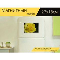Магнитный пазл "Роза, желтый, цветок" на холодильник 27 x 18 см. Lots Prints