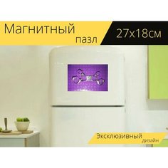 Магнитный пазл "Скобка, дантист, ортодонтия" на холодильник 27 x 18 см. Lots Prints