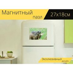 Магнитный пазл "Сурок, луг, альпийский сурок" на холодильник 27 x 18 см. Lots Prints