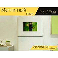 Магнитный пазл "Птицы, кормушка, дикий" на холодильник 27 x 18 см. Lots Prints
