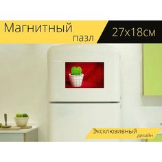 Магнитный пазл "Сердце, кактус, фотография" на холодильник 27 x 18 см. Lots Prints