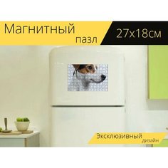 Магнитный пазл "Собака, джекрассел, терьер" на холодильник 27 x 18 см. Lots Prints