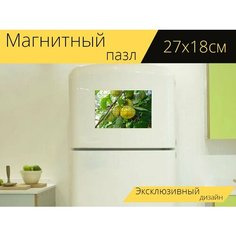 Магнитный пазл "Хурма, съедобный, фрукты" на холодильник 27 x 18 см. Lots Prints