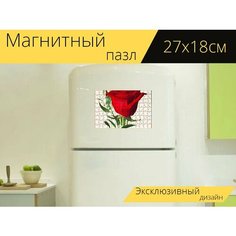 Магнитный пазл "Цветок, роуз, красный" на холодильник 27 x 18 см. Lots Prints