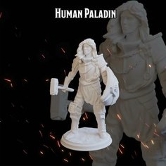 Паладин 48мм человек женщина фигурки/миниатюры (ДнД, DnD, D&D, Dungeons & Dragons, Pathfinder, Подземелья и Драконы, Wargames) Нет бренда