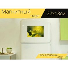 Магнитный пазл "Желтые цветы, место, весна" на холодильник 27 x 18 см. Lots Prints