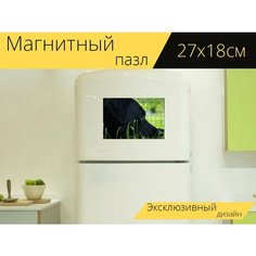 Магнитный пазл "Собака, портрет, лабрадор" на холодильник 27 x 18 см. Lots Prints