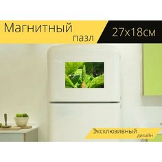 Магнитный пазл "Магнолия соулангана, блюдце магнолия, фрукты" на холодильник 27 x 18 см. Lots Prints
