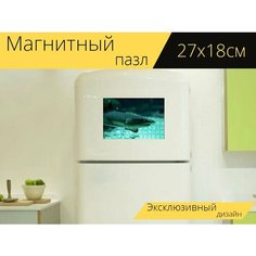 Магнитный пазл "Акула, море, вода" на холодильник 27 x 18 см. Lots Prints