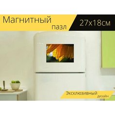 Магнитный пазл "Дождь, уронить, подсолнечник" на холодильник 27 x 18 см. Lots Prints