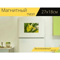 Магнитный пазл "Желтый, ирис, цветок" на холодильник 27 x 18 см. Lots Prints