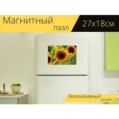 Магнитный пазл "Подсолнухи, желтый, цветок" на холодильник 27 x 18 см. Lots Prints