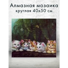 Алмазная мозаика (круг) "Милые котики" 40х50 см Colibri