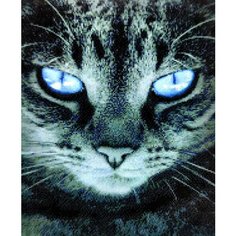 Алмазная мозаика квадратные стразы кот, кошка, шотландская , животные 40*50 полная выкладка Kakadu