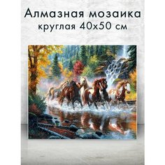 Алмазная мозаика (круглая) Табун лошадей 40х50 см Colibri