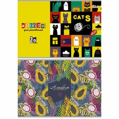 Альбом для рисования 20л А4 обл. картон, в асс. С0218 Апплика