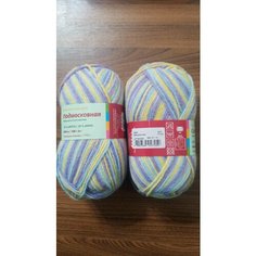 Пряжа Троицкая Подмосковная секционная секционная (4153), 50%шерсть/50%акрил, 250м, 100г, 1шт