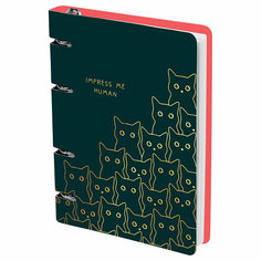 Тетрадь на кольцах А5, 100л, MESHU "Amazing cats", картон, матовая ламинация, выборочный УФ-лак - 2 шт.