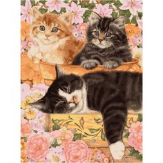 Картина по номерам Котята и сон мамы 40х50 см Hobby Home