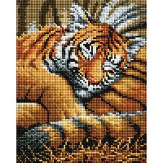 Алмазная мозаика Белоснежка "Тигрёнок" / Набор алмазной мозаики 20х25 см / На холсте / Полная выкладка / Животные / Тигр