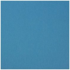 Фетр Gamma Pano 1 декоративный 30 см х 45 см ± 1-2 см 36/3 голубой