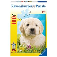 Пазл Ravensburger Милый щенок (10632), 100 дет.