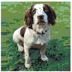 Картина по номерам, "Живопись по номерам", 72 x 72, ets480-2v2-30401, щенок, милые, животные, домашний, питомец