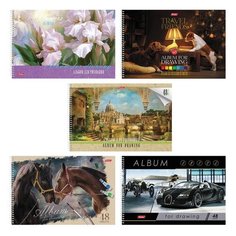 Альбом для рисования, А4, 48 листов, спираль, обложка картон, HATBER, 205х300 мм, "Ассорти", 48А4Всп, A274309