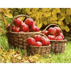 Картина по номерам Яблочный урожай 40х50 см Hobby Home