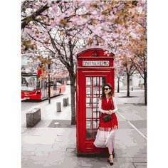 Картина по номерам Женщина в красном 40х50 см Hobby Home