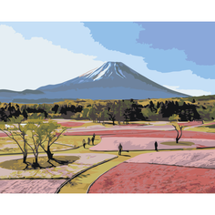 Картина по номерам Вулкан Фудзияма на стену