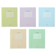 Тетради 18 листов в клетку "Люкс". Набор 10 шт. Цена за 10 шт. обложка в ассортименте Альт