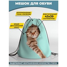 Мешок для сменной обуви Homepick 38х42м Catpeach/914/