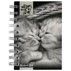 Блокнот Альт, А6 (105 х 130 мм) цветная 160 листовл, Арт. 3-160-010, обложка в ассортименте