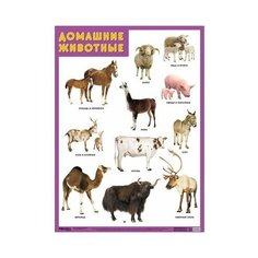 Плакат Мозаика-Синтез Развивающие плакаты. Домашние животные, 5 шт.