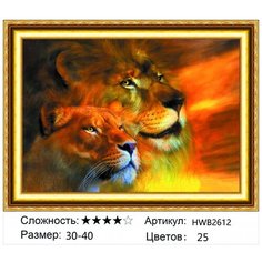 Алмазная мозаика на подрамнике HWB2612, 30x40 см Нет бренда