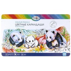 Гамма Карандаши цветные Гамма "Классические", 36цв, увелич. диаметр грифеля 3,3мм, заточен, метал. пенал Gamma