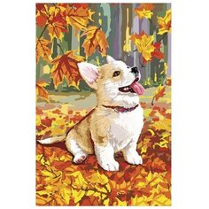 Алмазная мозаика с частичным заполнением "Корги" 20x30 см, на подрамнике (1 шт.) Pro Market