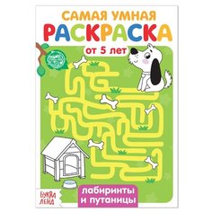 Раскраска "Лабиринты и путаницы", 12 стр./В упаковке шт: 1 Буква Ленд