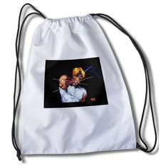 Мешок для сменной обуви Игры Streets Of Rage 3 - 33391 Brut Boxers