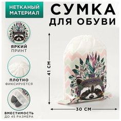 ArtFox Сумка для обуви «Енот», непромокаемое полотно 41х30х0,5 см