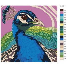 Картина по номерам W-195 "Павлин" 70х70 Brushes Paints