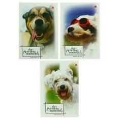 Блокнот А6, 40 листов на скрепке "Щеночки", микс Альт