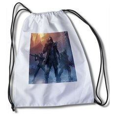 Мешок для сменной обуви с принтом Игра Wasteland 3 - 34321 Brut Boxers