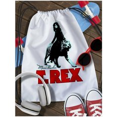 Мешок для сменной обуви T.Rex - 2869 Brut Boxers