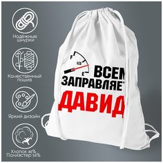 Сумка для обуви CoolPodarok Всем заправляет Давид